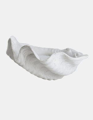 Mette Ditmer, sea shell, large